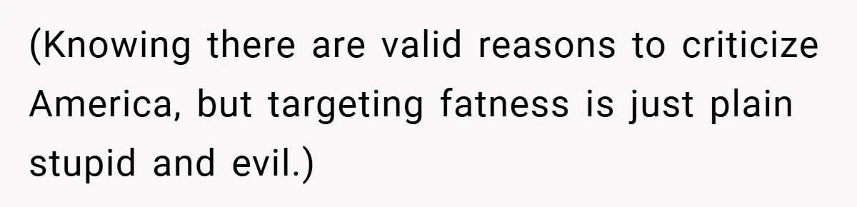 (Knowing there are valid reasons to criticize America, but targeting fatness is just plain stupid and evil.)