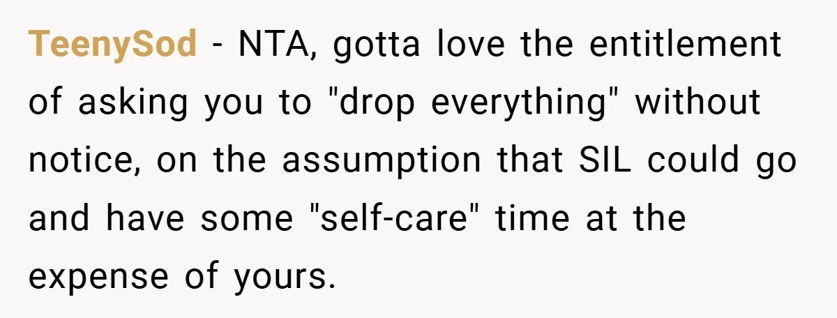 TeenySod − NTA, gotta love the entitlement of asking you to "drop everything" without notice, on the assumption that SIL could go and have some "self-care" time at the expense...