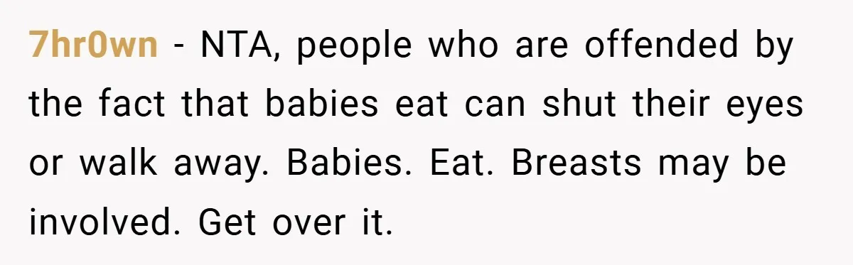 7hr0wn − NTA, people who are offended by the fact that babies eat can shut their eyes or walk away. Babies. Eat. Breasts may be involved. Get over it.