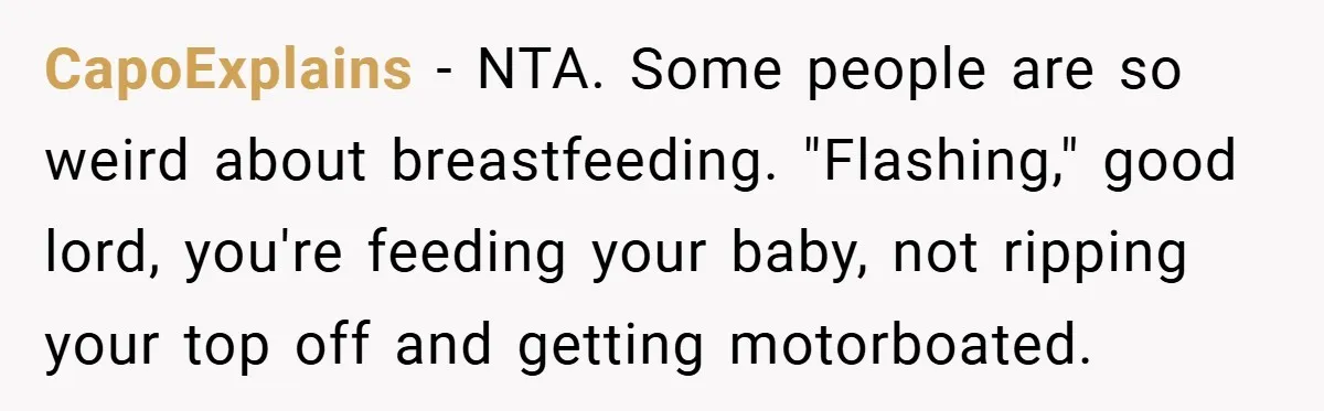 CapoExplains − NTA. Some people are so weird about breastfeeding. "Flashing," good lord, you're feeding your baby, not ripping your top off and getting motorboated.