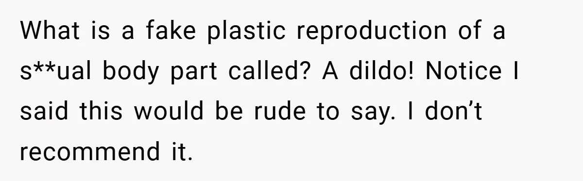 What is a fake plastic reproduction of a s**ual body part called? A dildo! Notice I said this would be rude to say. I don’t recommend it.