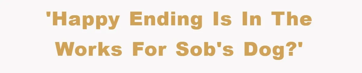 'Happy ending is in the works for SOB's dog?'