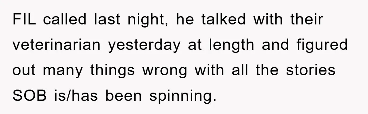 FIL called last night, he talked with their veterinarian yesterday at length and figured out many things wrong with all the stories SOB is/has been spinning.