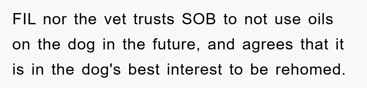 FIL nor the vet trusts SOB to not use oils on the dog in the future, and agrees that it is in the dog's best interest to be rehomed.