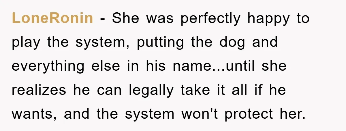 LoneRonin − She was perfectly happy to play the system, putting the dog and everything else in his name...until she realizes he can legally take it all if he wants,...