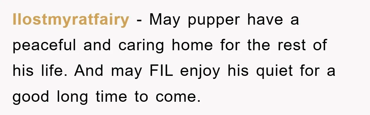 Ilostmyratfairy − May pupper have a peaceful and caring home for the rest of his life. And may FIL enjoy his quiet for a good long time to come.