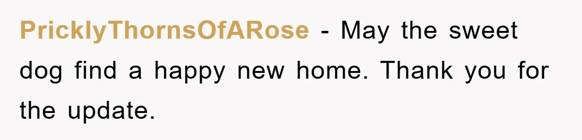 PricklyThornsOfARose − May the sweet dog find a happy new home. Thank you for the update.