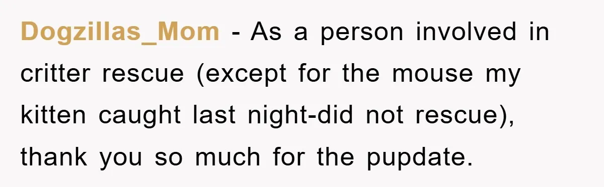 Dogzillas_Mom − As a person involved in critter rescue (except for the mouse my kitten caught last night-did not rescue), thank you so much for the pupdate.