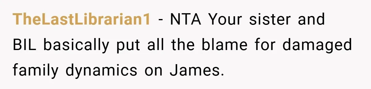 TheLastLibrarian1 − NTA Your sister and BIL basically put all the blame for damaged family dynamics on James.