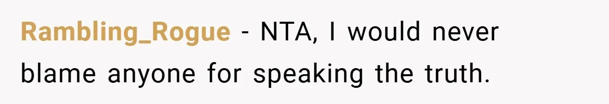 Rambling_Rogue − NTA, I would never blame anyone for speaking the truth.