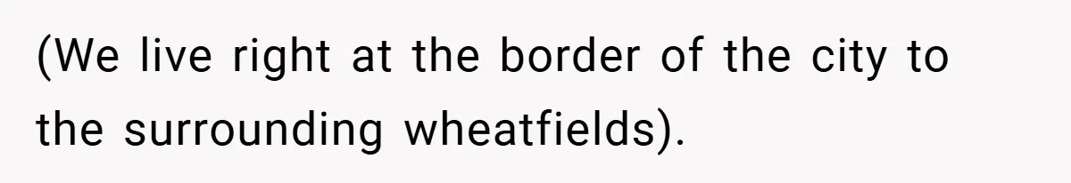 (We live right at the border of the city to the surrounding wheatfields).