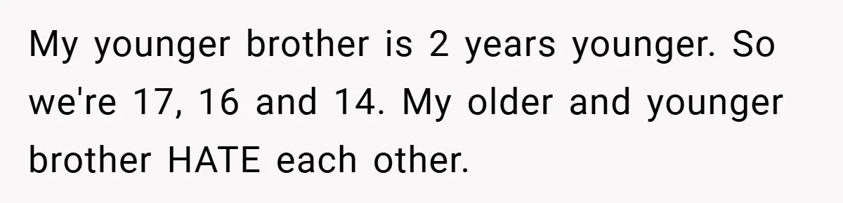 My younger brother is 2 years younger. So we're 17, 16 and 14. My older and younger brother HATE each other.