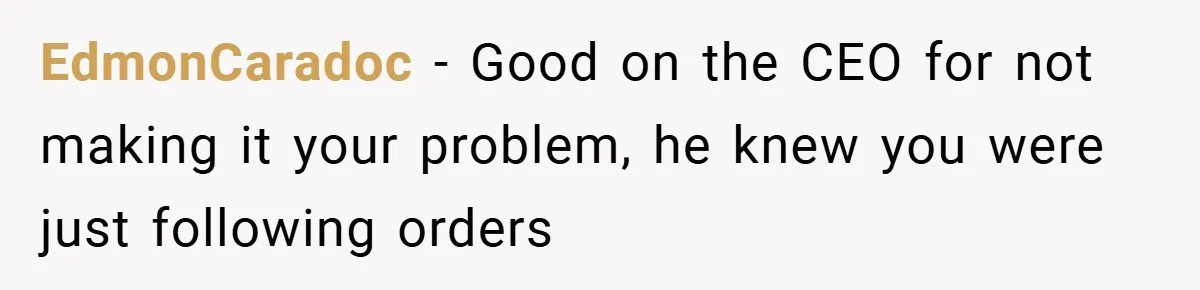 EdmonCaradoc − Good on the CEO for not making it your problem, he knew you were just following orders