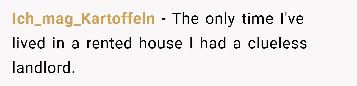 When Landlord Said ‘Fix It Yourself,’ Tenant Made Him Pay Up Ich_mag_Kartoffeln − The only time I've lived in a rented house I had a clueless landlord.