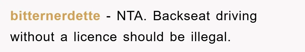 bitternerdette − NTA. Backseat driving without a licence should be illegal.