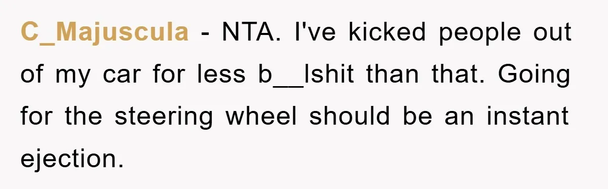 C_Majuscula − NTA. I've kicked people out of my car for less b__lshit than that. Going for the steering wheel should be an instant ejection.