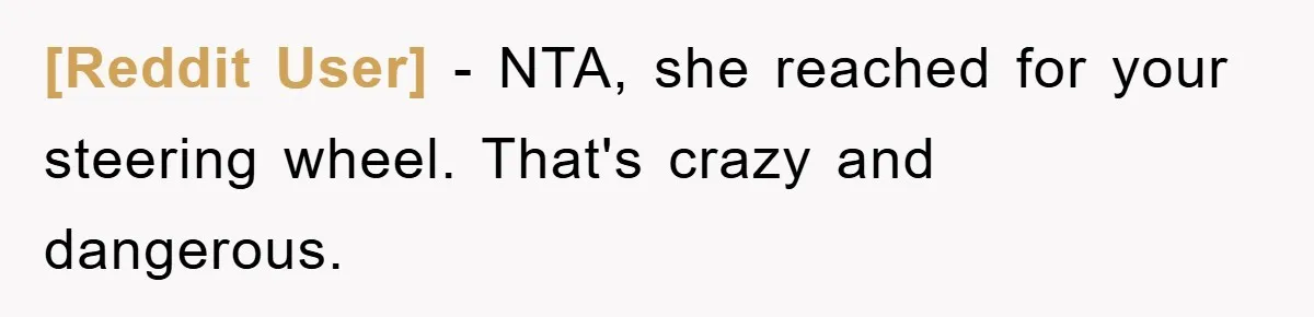 [Reddit User] − NTA, she reached for your steering wheel. That's crazy and dangerous.
