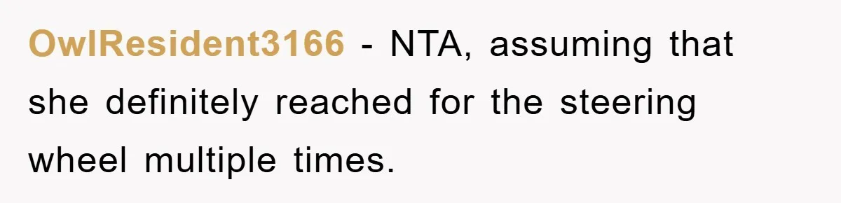 OwlResident3166 − NTA, assuming that she definitely reached for the steering wheel multiple times.