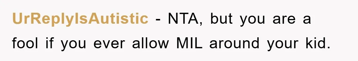 UrReplyIsAutistic − NTA, but you are a fool if you ever allow MIL around your kid.