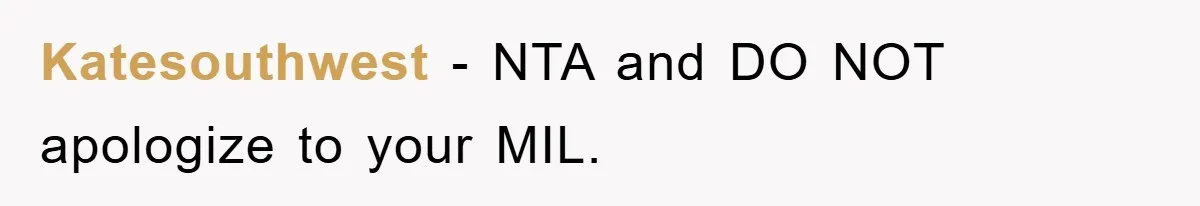 Katesouthwest − NTA and DO NOT apologize to your MIL.