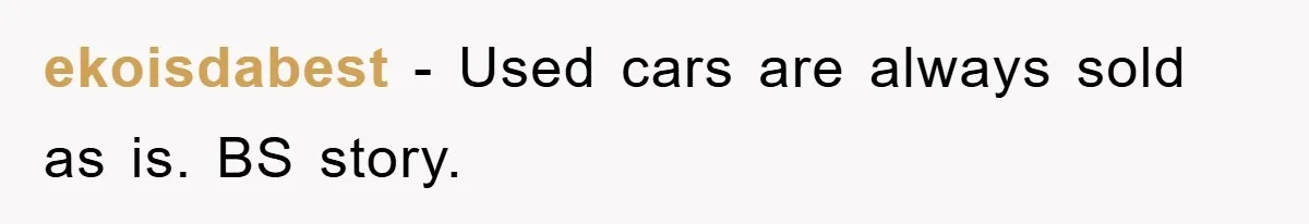 ekoisdabest − Used cars are always sold as is. BS story.