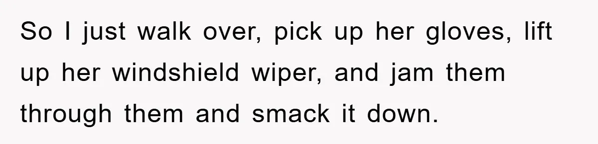 So I just walk over, pick up her gloves, lift up her windshield wiper, and jam them through them and smack it down.