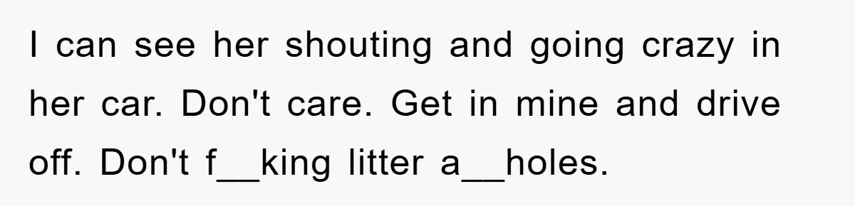 I can see her shouting and going crazy in her car. Don't care. Get in mine and drive off. Don't f__king litter a__holes.