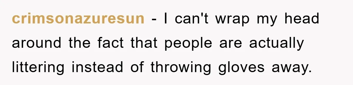 crimsonazuresun − I can't wrap my head around the fact that people are actually littering instead of throwing gloves away.