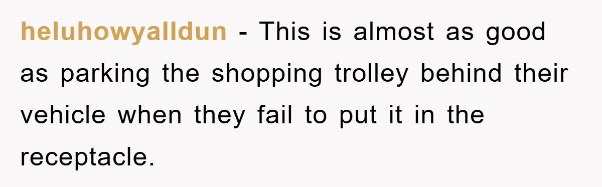 heluhowyalldun − This is almost as good as parking the shopping trolley behind their vehicle when they fail to put it in the receptacle.