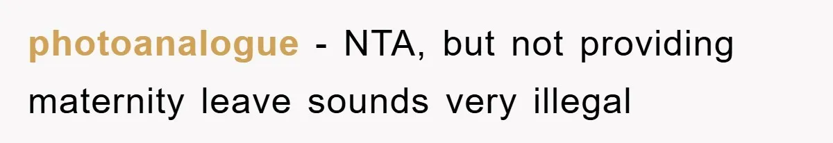 photoanalogue − NTA, but not providing maternity leave sounds very illegal