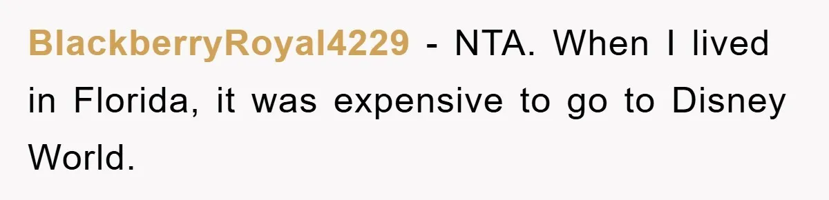 BlackberryRoyal4229 − NTA. When I lived in Florida, it was expensive to go to Disney World.