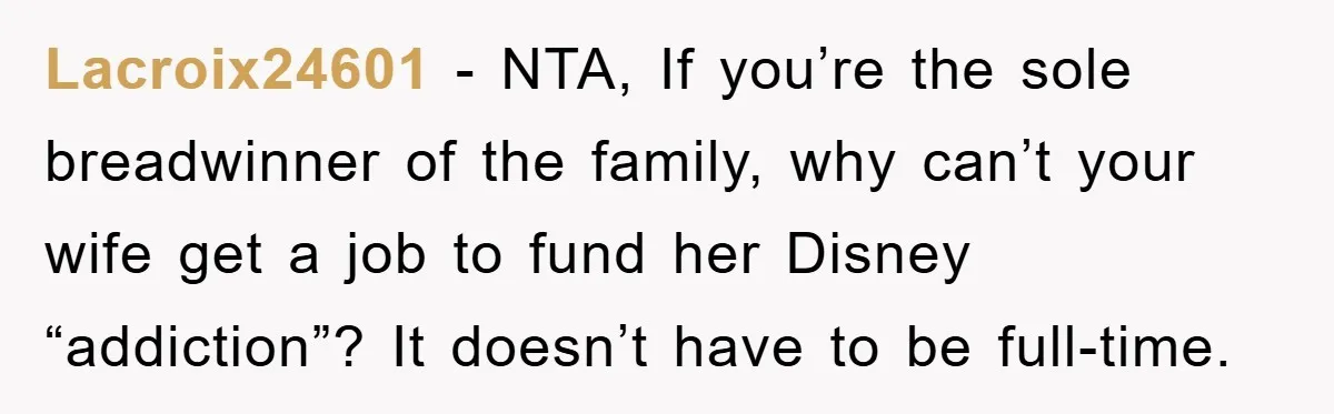 Lacroix24601 − NTA, If you’re the sole breadwinner of the family, why can’t your wife get a job to fund her Disney “addiction”? It doesn’t have to be full-time.