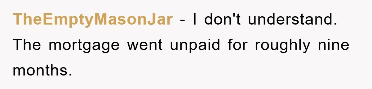 TheEmptyMasonJar − I don't understand. The mortgage went unpaid for roughly nine months.