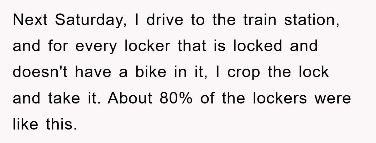Next Saturday, I drive to the train station, and for every locker that is locked and doesn't have a bike in it, I crop the lock and take it. About...