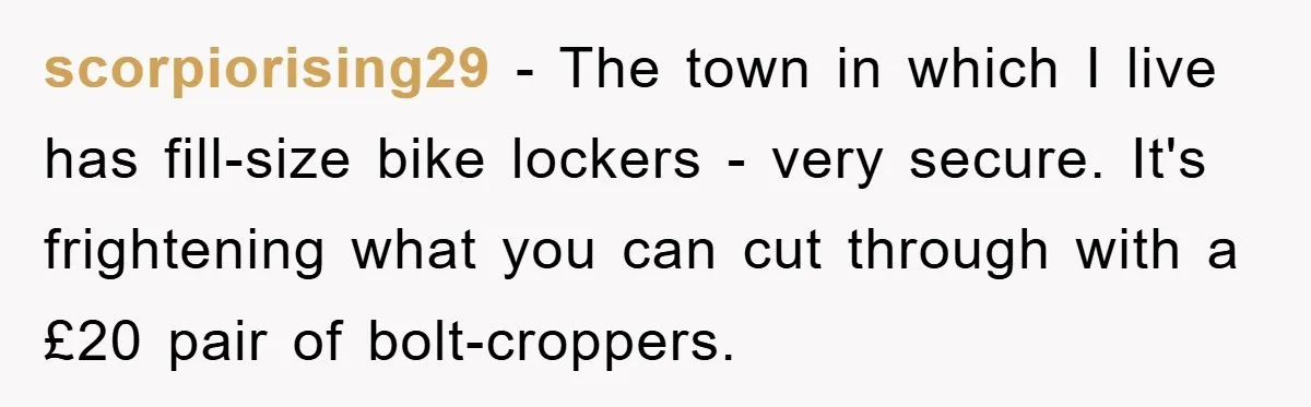 scorpiorising29 − The town in which I live has fill-size bike lockers - very secure. It's frightening what you can cut through with a £20 pair of bolt-croppers.
