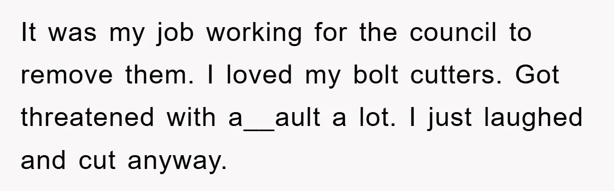 It was my job working for the council to remove them. I loved my bolt cutters. Got threatened with a__ault a lot. I just laughed and cut anyway.