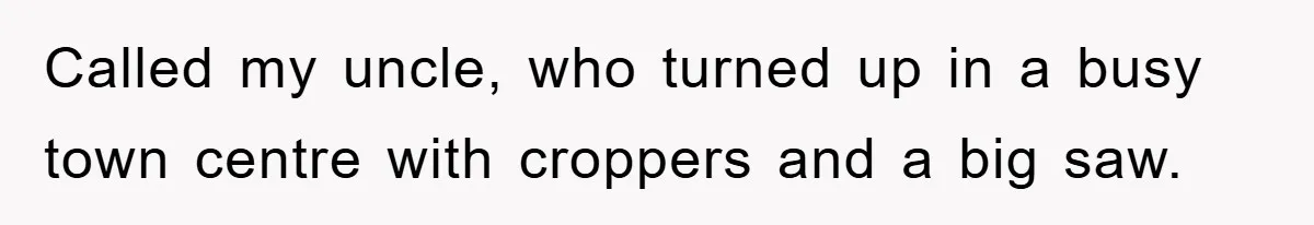 Called my uncle, who turned up in a busy town centre with croppers and a big saw.