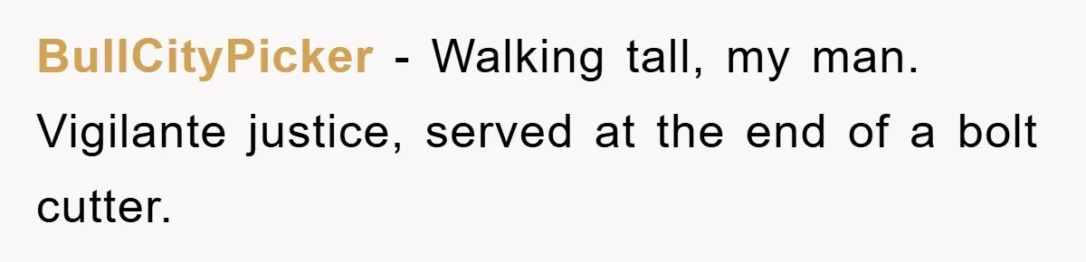 BullCityPicker − Walking tall, my man. Vigilante justice, served at the end of a bolt cutter.
