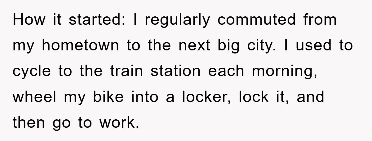 How it started: I regularly commuted from my hometown to the next big city. I used to cycle to the train station each morning, wheel my bike into a locker,...