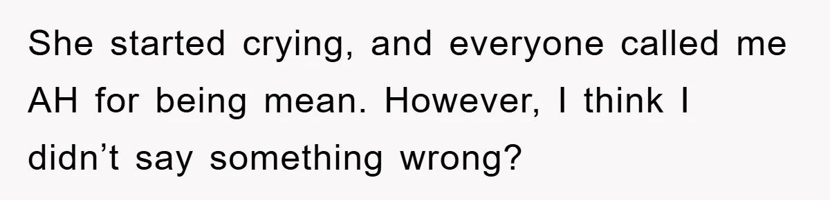She started crying, and everyone called me AH for being mean. However, I think I didn’t say something wrong?