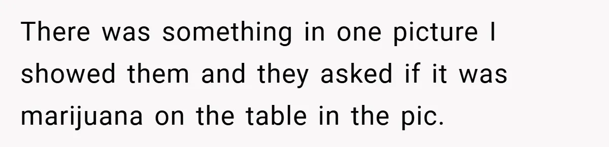 There was something in one picture I showed them and they asked if it was marijuana on the table in the pic.