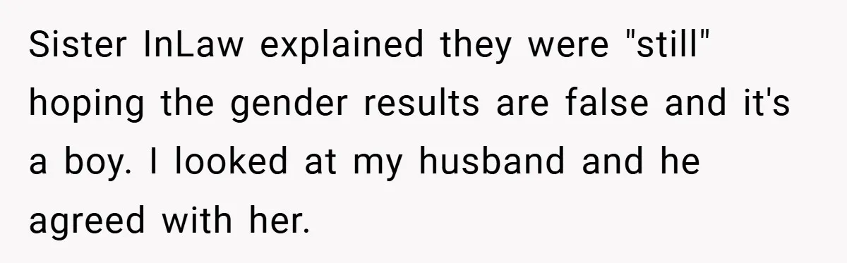 Sister InLaw explained they were "still" hoping the gender results are false and it's a boy. I looked at my husband and he agreed with her.