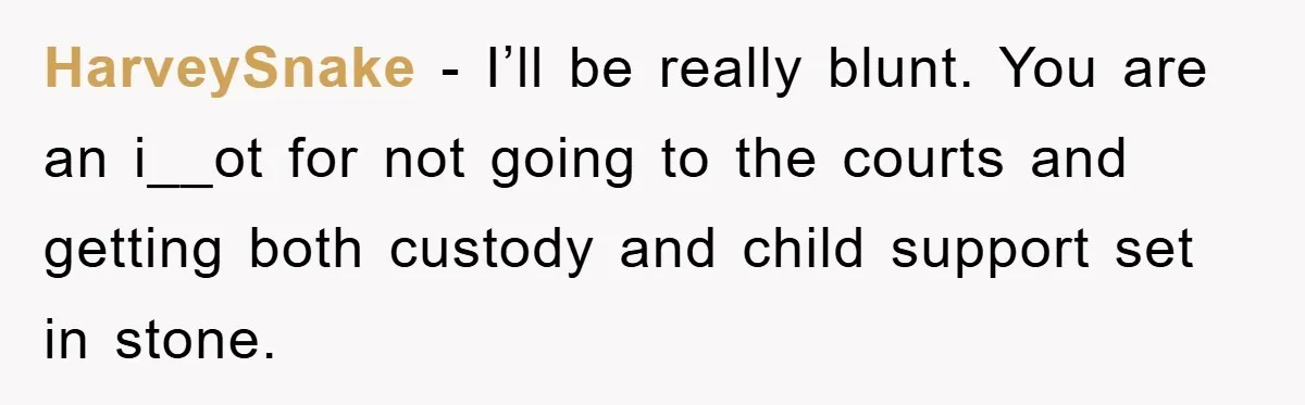 HarveySnake − I’ll be really blunt. You are an i__ot for not going to the courts and getting both custody and child support set in stone.
