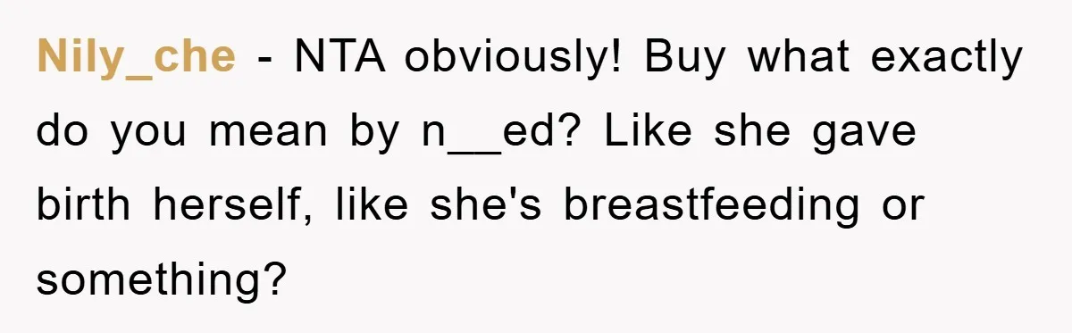 Nily_che − NTA obviously! Buy what exactly do you mean by n__ed? Like she gave birth herself, like she's breastfeeding or something?