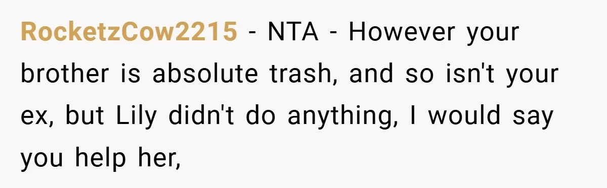 RocketzCow2215 − NTA - However your brother is absolute trash, and so isn't your ex, but Lily didn't do anything, I would say you help her,