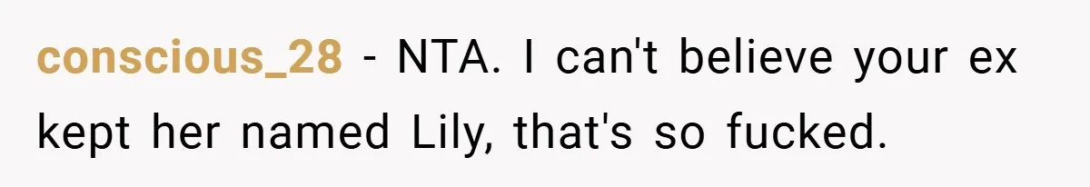 conscious_28 − NTA. I can't believe your ex kept her named Lily, that's so fucked.