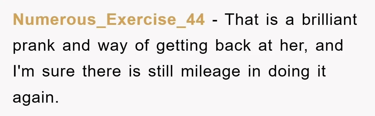 Numerous_Exercise_44 − That is a brilliant prank and way of getting back at her, and I'm sure there is still mileage in doing it again.
