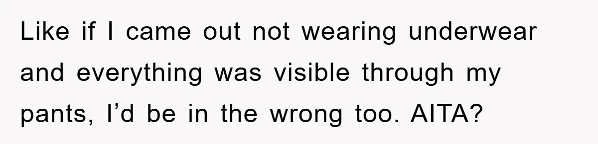 Like if I came out not wearing underwear and everything was visible through my pants, I’d be in the wrong too. AITA?