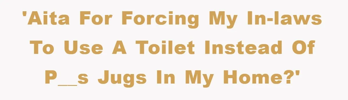 'AITA for forcing my in-laws to use a toilet instead of p__s jugs in my home?'