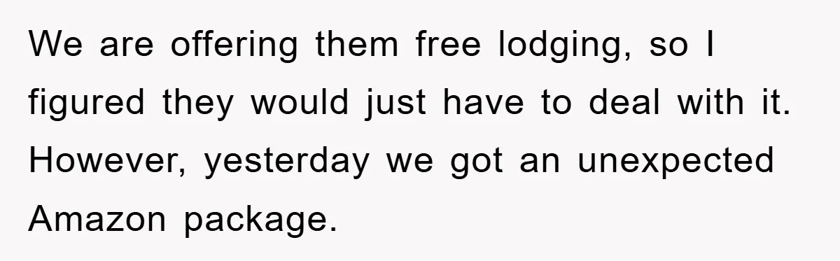 We are offering them free lodging, so I figured they would just have to deal with it. However, yesterday we got an unexpected Amazon package.
